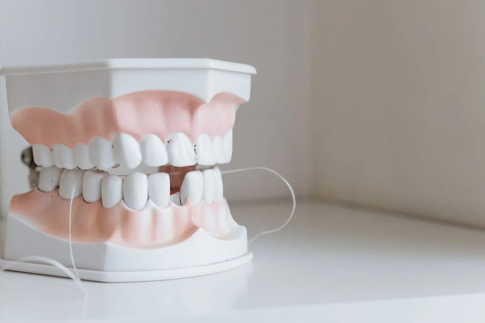 A study model of the upper and lower teeth with dental floss.